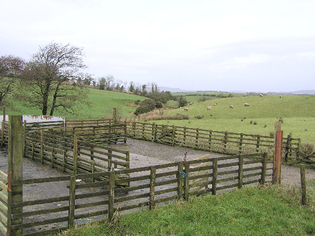 Sheep pen \u00a9 Kenneth Allen cc-by-sa\/2.0 :: Geograph Ireland