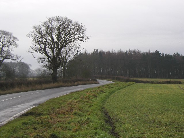 The road to Dodsworth Wood