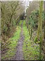 Footpath near Woodside Farm