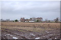 Looking across farmland to old thatched farmhouse