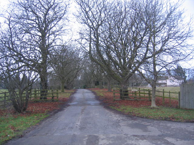 Driveway to Three Gates House