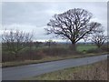 Fields Near New Lodge Farm