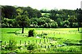 View from the bedroom of Willey Place Lodge