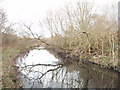 River Crane by Hounslow Heath