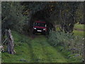 Green lane near Rhydymain