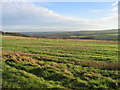 View over Deerness Valley from Low Esh Farm