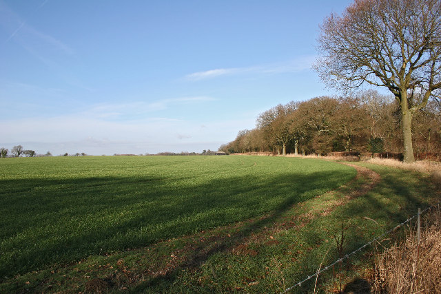 Ashen Wood, East Hampshire - area information, map, walks and more