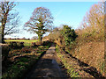 Peelings Lane near Stone Cross