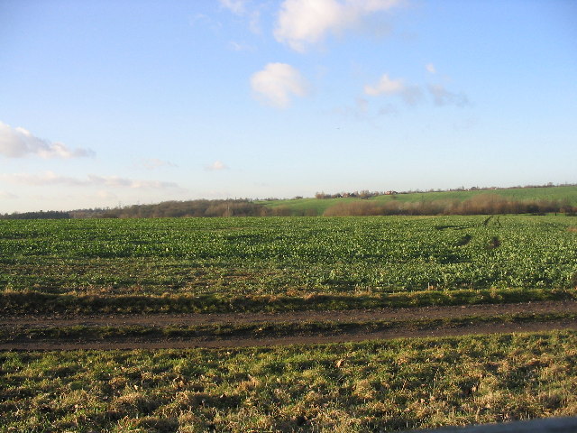 Farmland near Epping