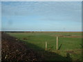 Farmland, Pilling Lane