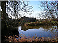 Pond, Hankham Hall Farm