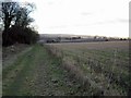 Track by Itchen Down Farm