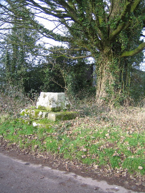 remains of preaching cross at Trellech Cross