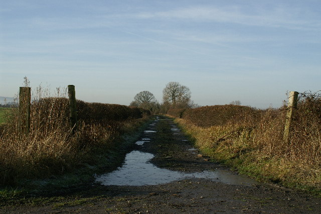 Track near Nye