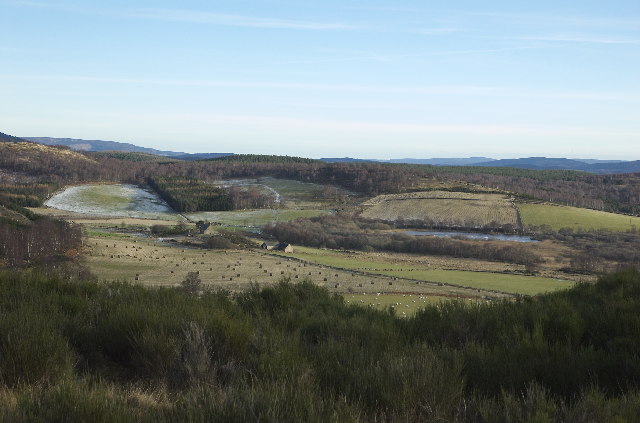 Looking towards Balnacraig, near Dinnet, Aberdeenshire