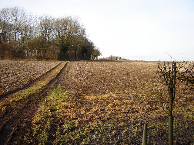 Footpath leading to Thorngrove Copse