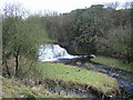 Enoch Linn Waterfall