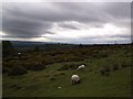 Rain Clouds Over Clee Hill