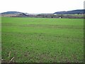 Farm Land near Evanton