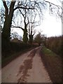 Lane to Lloyds Coppice from near Nightingale