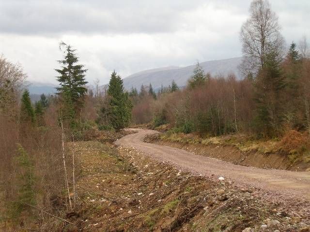 New forestry road in Glen Aray
