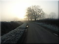 Lane south of Waltham St Lawrence