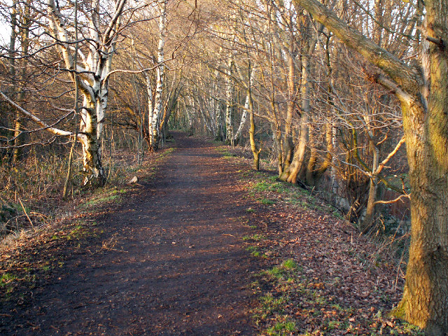 The Harborne Walkway © Phil Champion Cc By Sa20 Geograph Britain And Ireland 9217