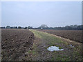 Footpath from South Heath to Little Hundridge Lane