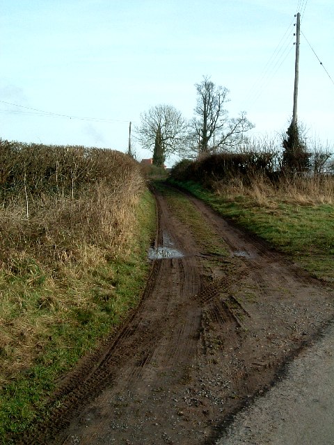 Track to Baxterley Hall Farm