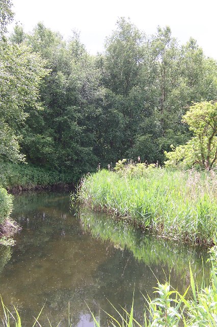 River Wensum near Pensthorpe, Norfolk