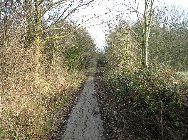 Dellsome Lane, Welham Green