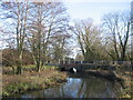 River Wylye  at  Norton Bavant