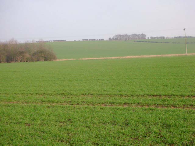Wheat Fields of Barnwell