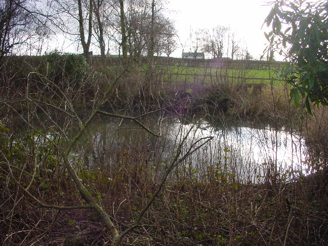 St Marys Primary School Pond