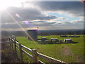 Evening Sun over Water Works