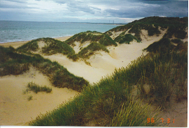 Looking South over the Dunes at Rattray Head.