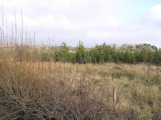 rough-ground-kenneth-allen-cc-by-sa-2-0-geograph-ireland