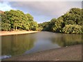 Lake and wood in Wanstead Flats