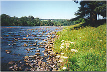 NO5999 : The River Dee at Kincardine O'Neil. by Colin Smith