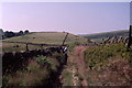 On Colshaw Hill