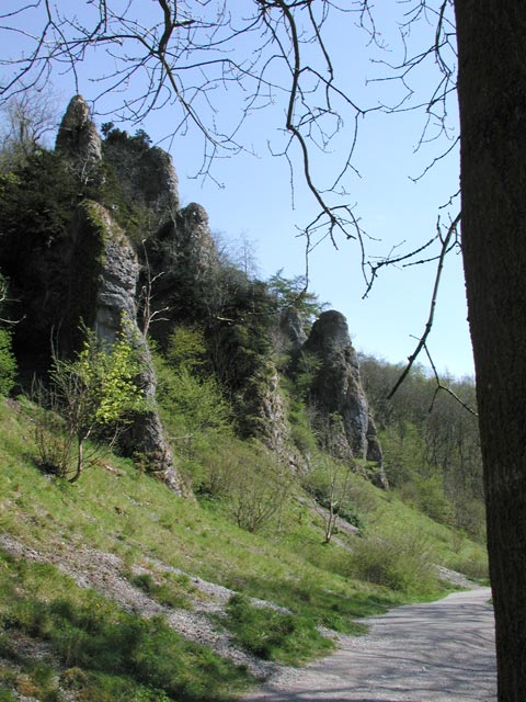 Pickering Tor, Dovedale