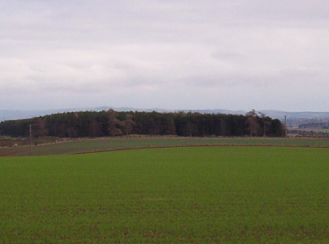 Fields and Woodland
