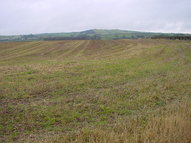 Stubble Field