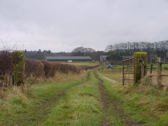 Track to Harbybrow