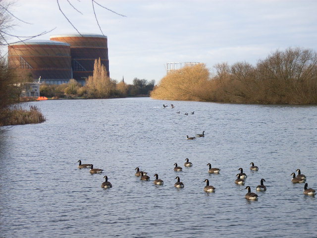 The River Thames, east of Reading