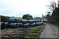 Weary Bales