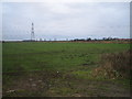 Field from Thorpe Lane