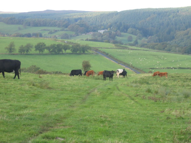 Garleigh Moor towards  looking towards Cragside