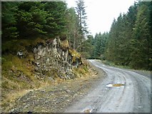NM9309 : Forest road in Inverliever Forest by Patrick Mackie