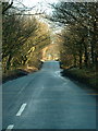 SE3013 : Tree-lined Lane, Woolley Edge by Nigel Homer